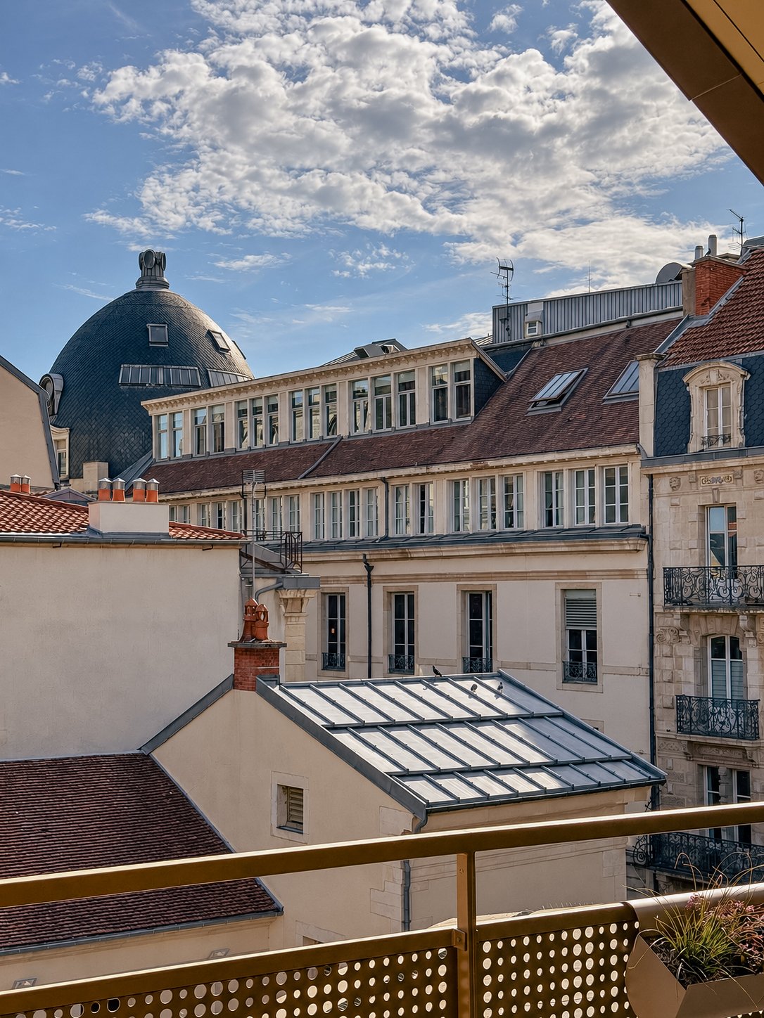 Vue de la terrasse sur les toits de Dijon